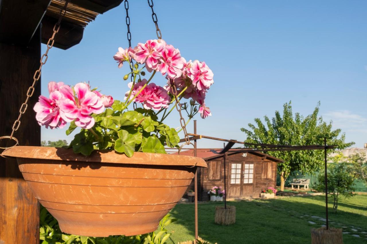 Bed and Breakfast A Lu Fanizza Кутроф'яно Екстер'єр фото